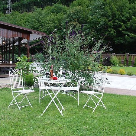 Pensiunea Roua Florilor Anina Exterior foto
