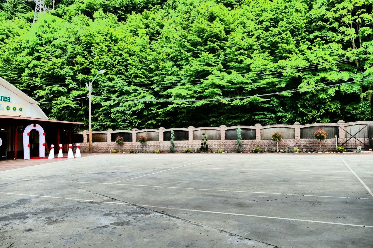 Pensiunea Roua Florilor Anina Exterior foto