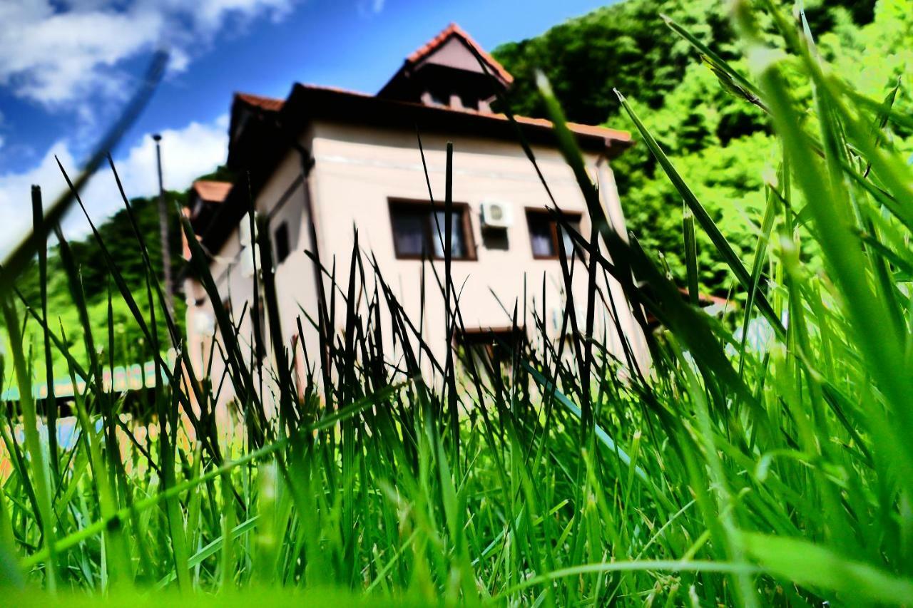 Pensiunea Roua Florilor Anina Exterior foto