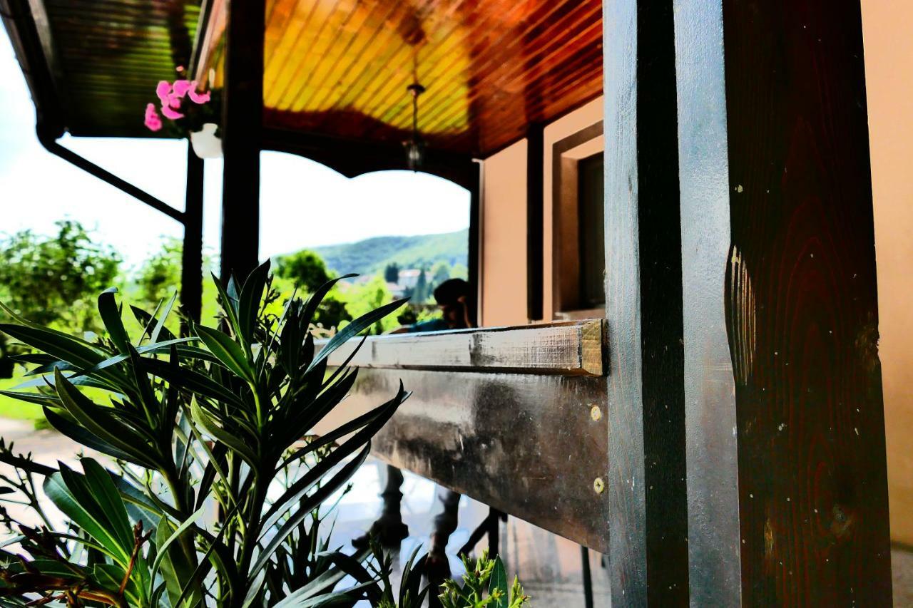 Pensiunea Roua Florilor Anina Exterior foto