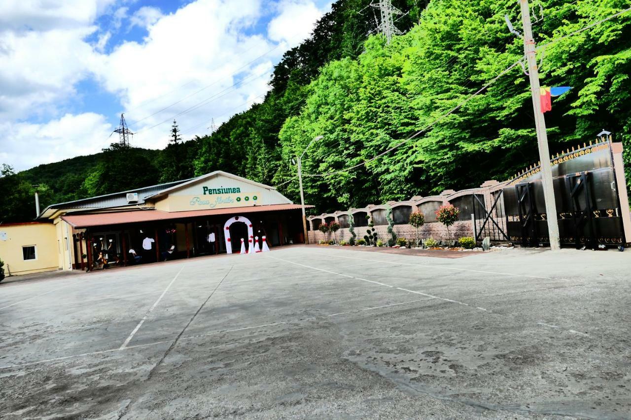 Pensiunea Roua Florilor Anina Exterior foto