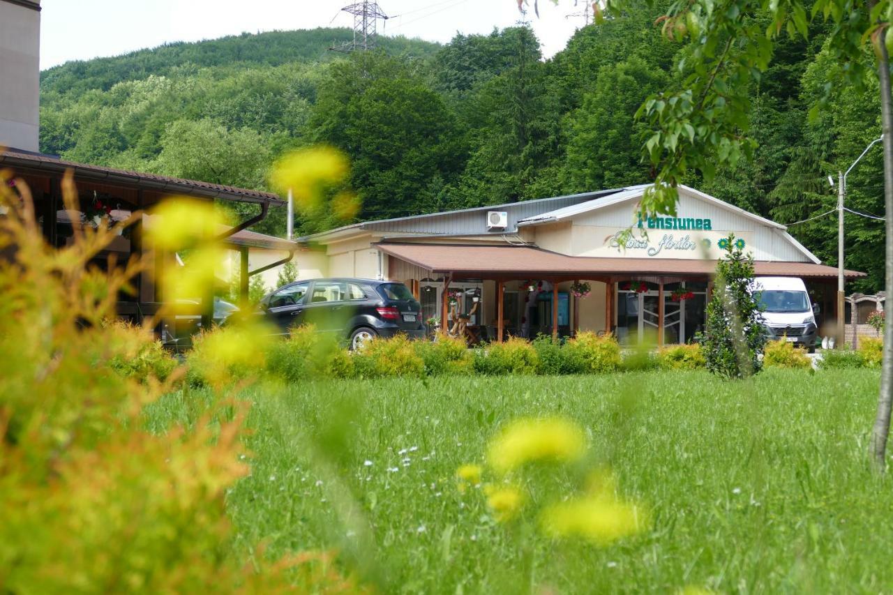 Pensiunea Roua Florilor Anina Exterior foto